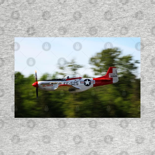 P-51D Mustang fast fly-by by acefox1
